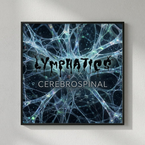 Lymphatics — Cerebrospinal Poster