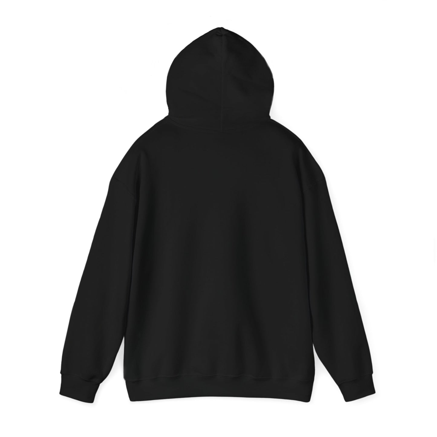 Cheap Flights to Nowhere Hooded Sweatshirt - Travel Humor Unisex