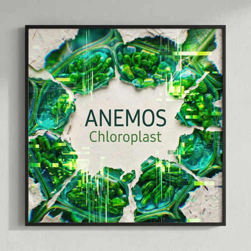 Anemos — Chloroplast Poster
