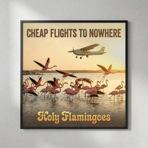 Cheap Flights to Nowhere — Holy Flamingoes Poster