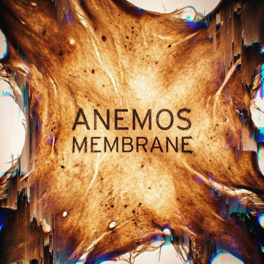 Anemos — Membrane Tote mockup