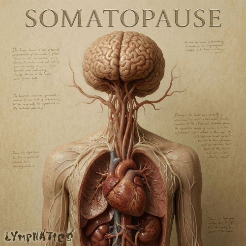 Lymphatics — Somatopause Mug mockup