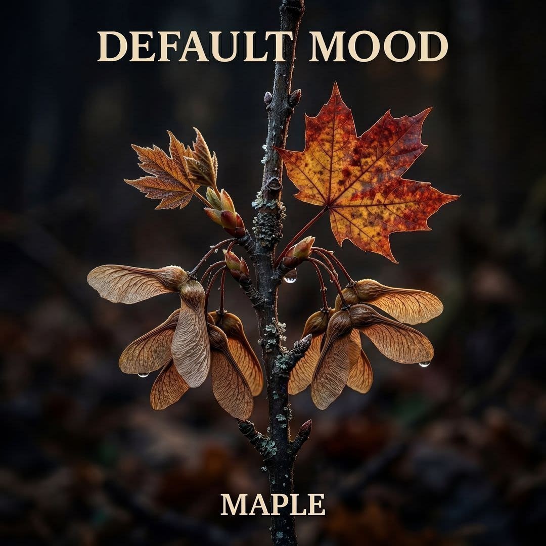 Default Mood — Maple Pillow mockup