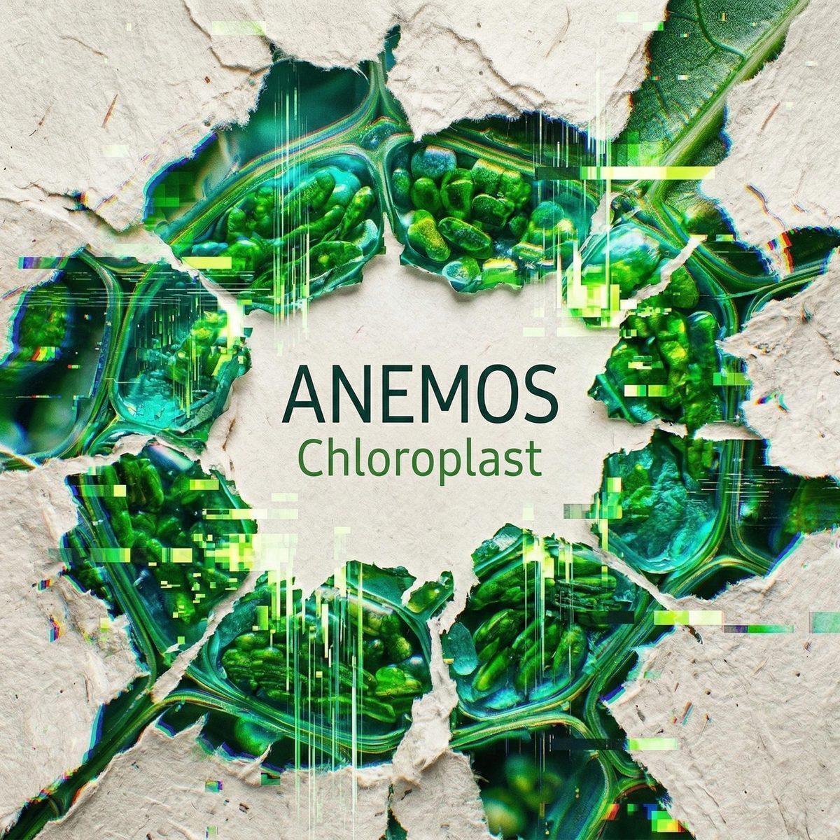 Anemos — Chloroplast Pillow mockup