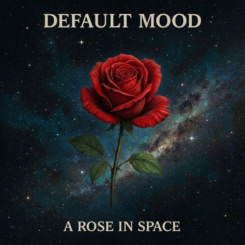 Default Mood — A Rose in Space Pillow