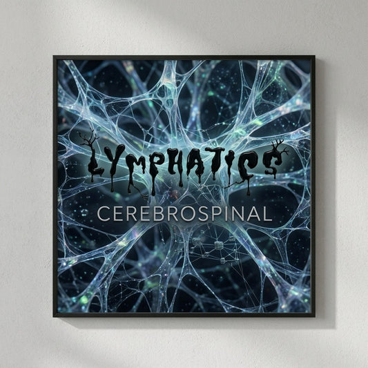 Lymphatics — Cerebrospinal Poster — design 1